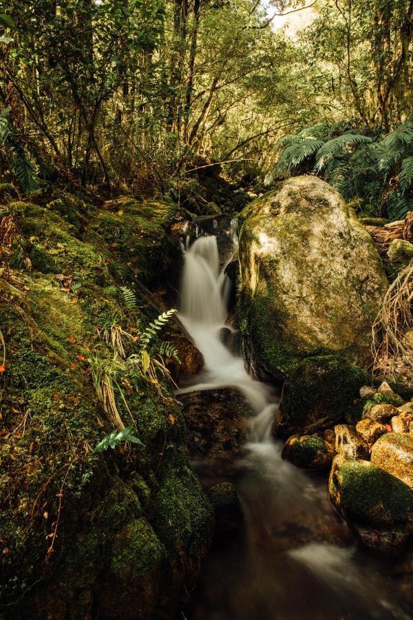 Maruia River Retreat Shenandoah Dış mekan fotoğraf
